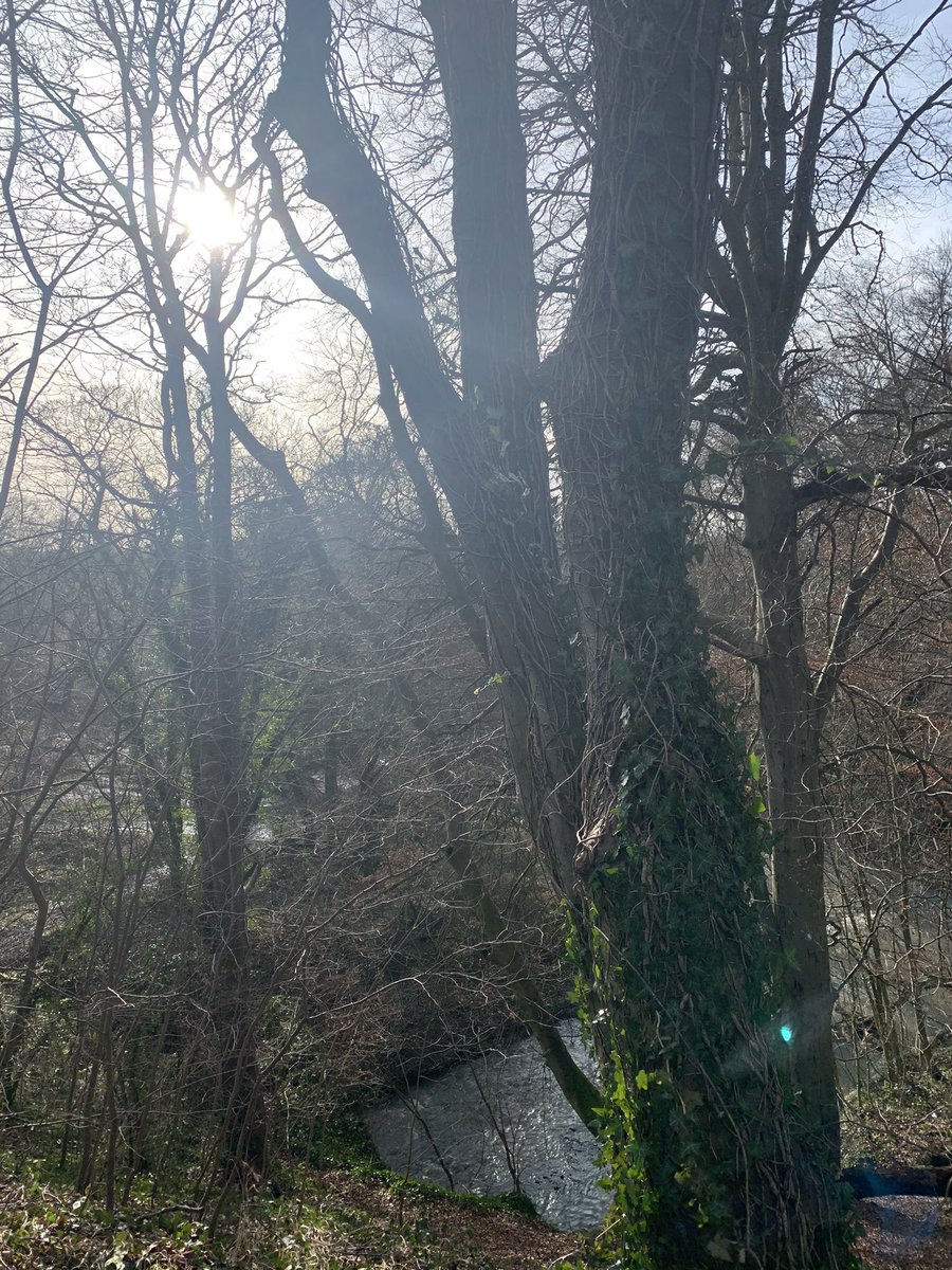 A lovely 8km walk today 🚶🏻‍♀️🌲🍂