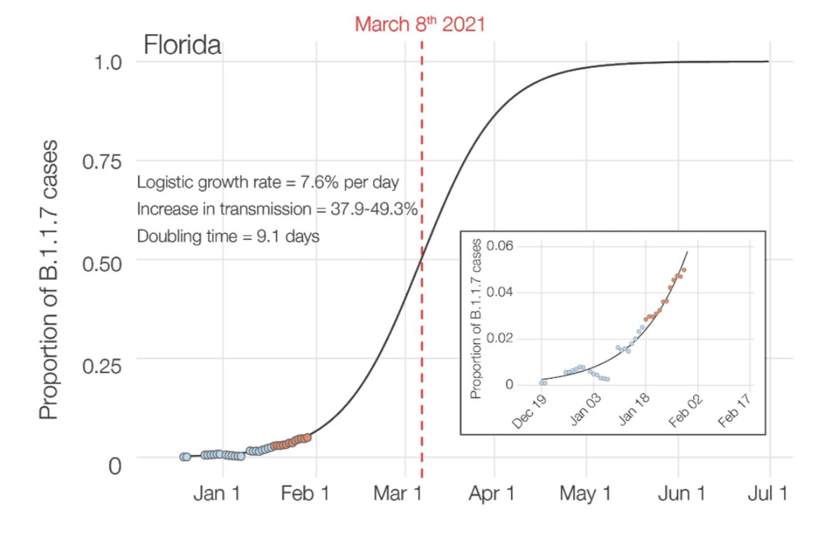 3) Florida seems to be experiencing the faster rate of growth. (Maybe because  @RonDeSantisFL  @GovRonDeSantis hasn’t put in much mitigation).  #B117 will become dominant in Florida sooner... likely by March 8th. It’s much more contagious too.