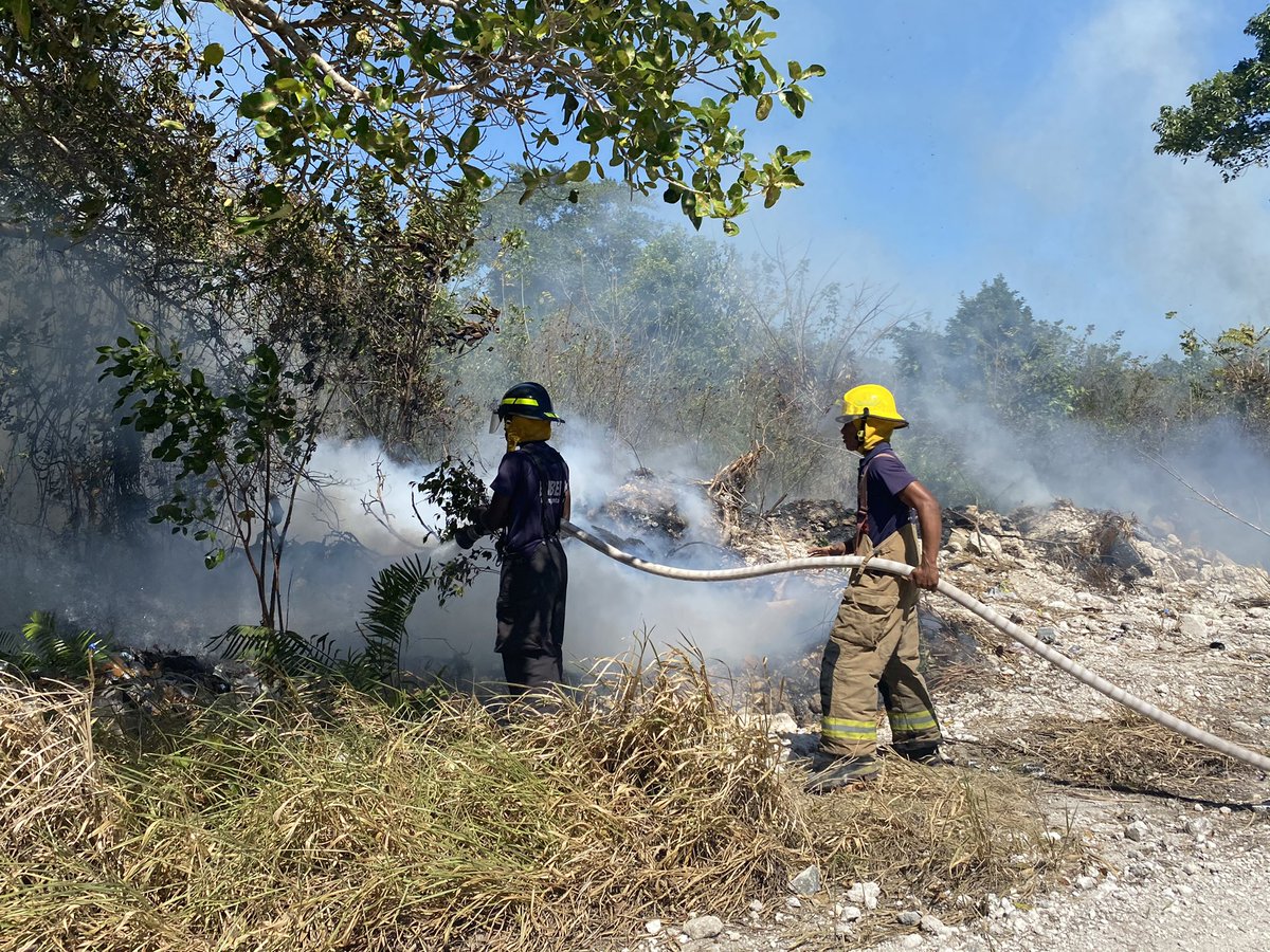 BVPC_Oficial's tweet photo. #Ahora |  Dos unidades de #BomberosVPuntaCana responden en Incendio Forestal en Calle Doble Vía. 

Hasta el momento las unidades mantienen el control de la Operación en un 60% https://t.co/H3OY8bEAAE