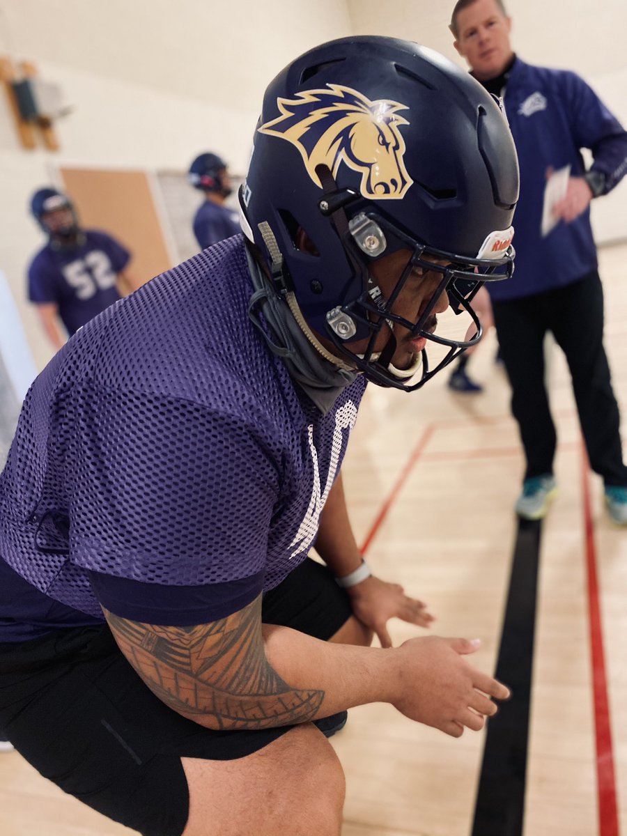 WNMU Mustang Football tweet media