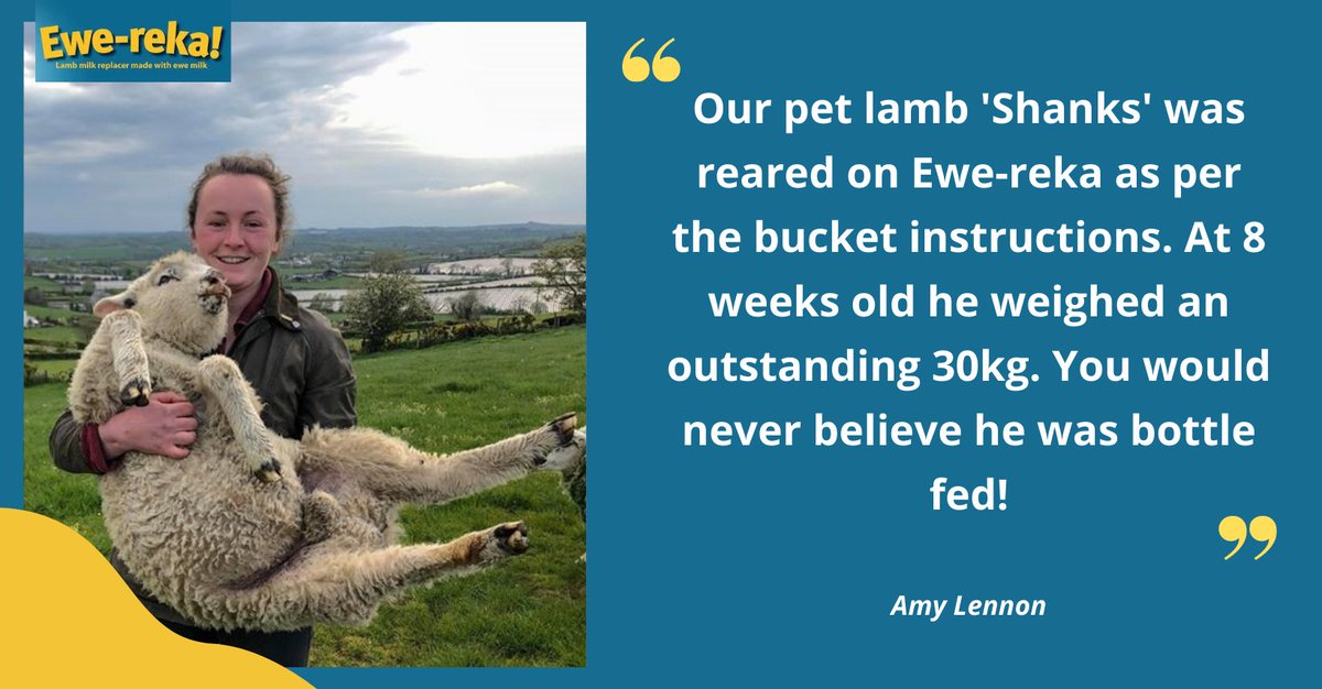 Shine Ewe-Reka tweet media