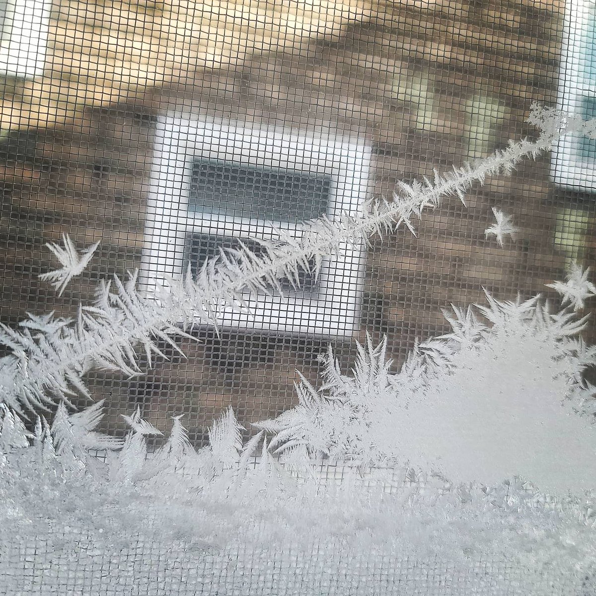 The frost on the windows for the past 4 days...
#winterinNebraska