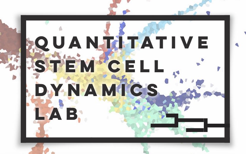 Call for Stem Cell and Quantitative PhDs!!!

The call for the prestigious “Beatriu de Pinos” Postdoctoral Fellowships (Marie Curie program) is OPEN until March 9th.

This is a 3-year fellowship that includes salary + research costs!!! 

Come work with us!

agaur.gencat.cat/en/beques-i-aj…