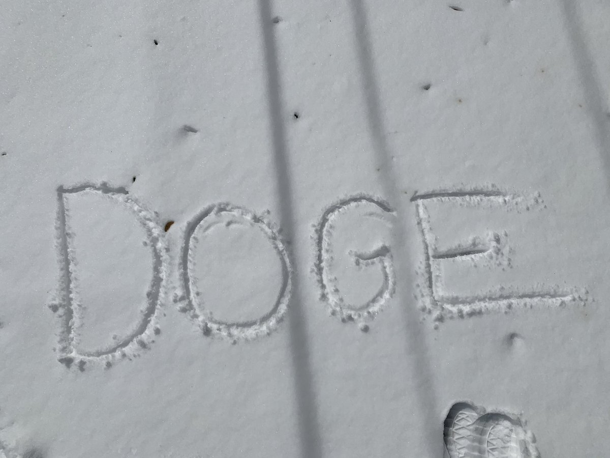 Snow day in Austin calls for one thing.. getting more Doge! 👀🚀💎 #dogecoin #Dogecoinarmy #DogecoinToTheMoon #Austin #Nopower #texaspoweroutage