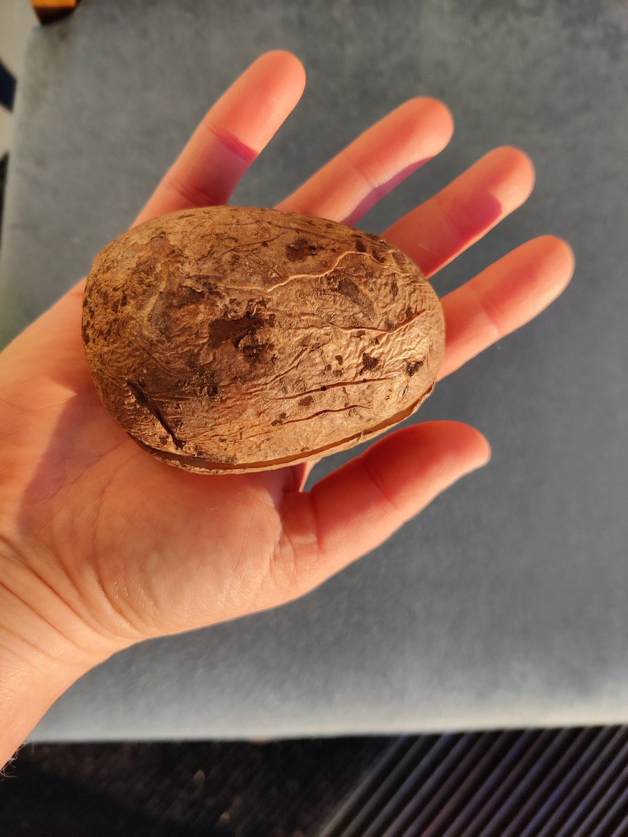 Peruna-live takana. Live löytyy meidän ruokaneuvolive Instagramtililtä. Kiitos @maajakotitalous <a href="/peruna365/">#peruna365</a> ja tietysti <a href="/ProAgria/">ProAgria</a> #peruna <a href="/JKylanpaa/">Janita Kylänpää</a>