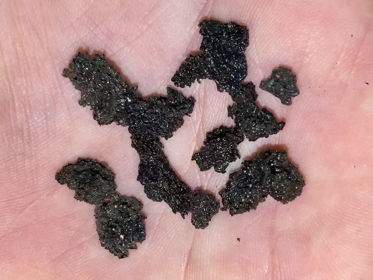AAlechiarenza's tweet photo. I know this may sound a bit weird and everything but after more than a year of no fieldwork, getting out of the house during an eruption to pick up some fresh lapilli felt like the best thing in the world #Etna 🌋 https://t.co/LH2WkOe5tO