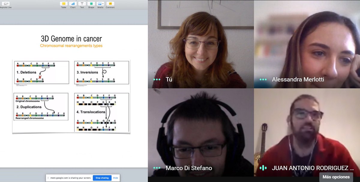 Genigma3D's tweet photo. Preparamos un nuevo playtest, esta vez con institutos...

¿Eres profesor/a de bachillerato? Si quieres ayudarnos a probar el juego con tus alumn@s contáctanos ... ¡podréis convertiros en exploradores del genoma por una semana! 🔍🧬👀😊
#cienciaciudadana @CRGenomica @ORION_opensci https://t.co/D7E5gqIoYo