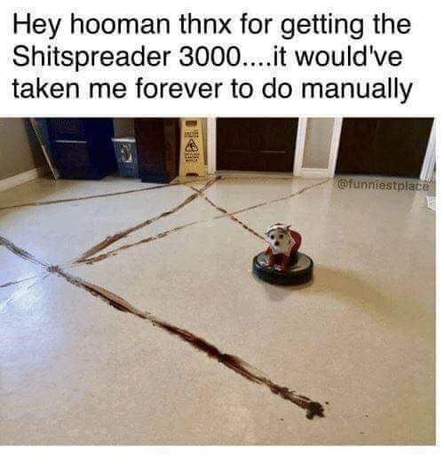 The Nagoul (@nagoul1) on Twitter photo 