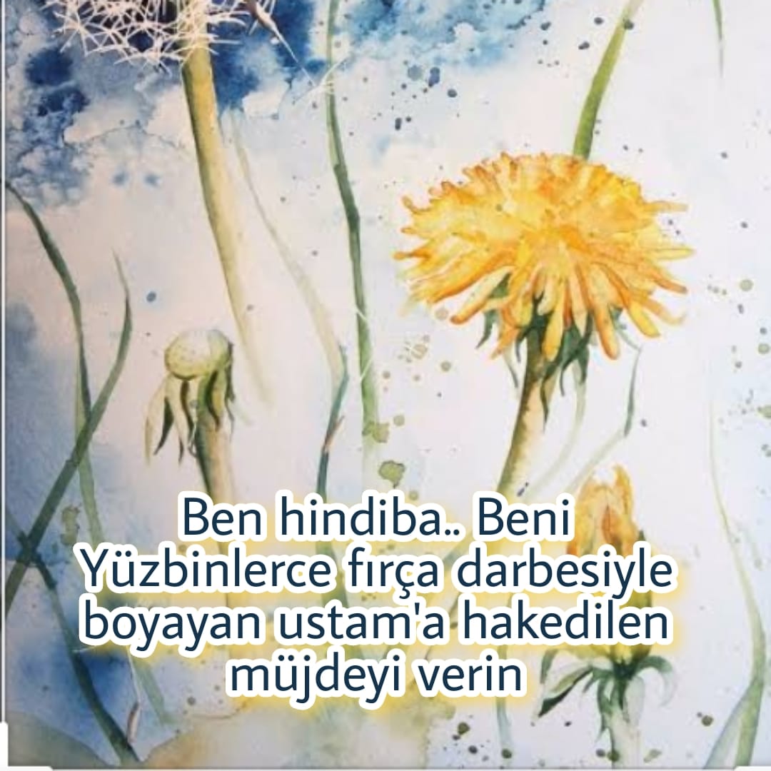 MevzuatSizin KadroBizim 
<a href="/RTErdogan/">Recep Tayyip Erdoğan</a> <a href="/dbdevletbahceli/">Devlet Bahçeli</a> <a href="/ziyaselcuk/">Ziya Selçuk</a> <a href="/safran1958/">Mustafa SAFRAN</a> <a href="/meb/">Maria Elena Boschi</a> <a href="/mebhbogm/">MEB Hayat Boyu Öğrenme Genel Müdürlüğü</a> <a href="/ybuyuk34/">Yusuf BÜYÜK</a> @Ahaber <a href="/trthaber/">TRT HABER</a> @starhaber_tv <a href="/showhaber/">dfas</a> @FOXhaber 
 hakkımız olan kadroyu hak etmiyormuyuz ? 
keue