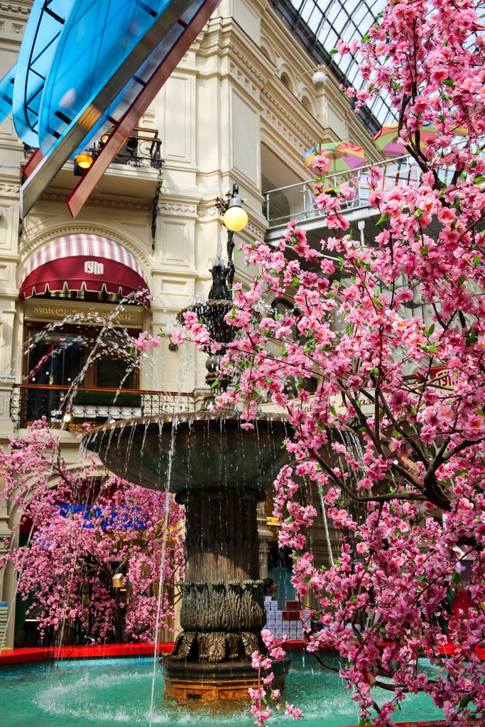 GUM, the shopping mall with an entrance on Red Square is the only one I've been in that required security checks when entering. Not a fan of shopping so didn't spend much time there, but did photograph some blossom