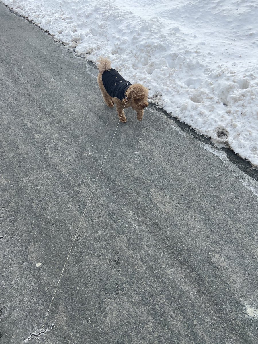 pe_atkinson's tweet photo. We got our 20 minutes in! Dress warm! 🥶🥶
@lavalhighschool #getoutsidelaval https://t.co/QERoO5GqiF