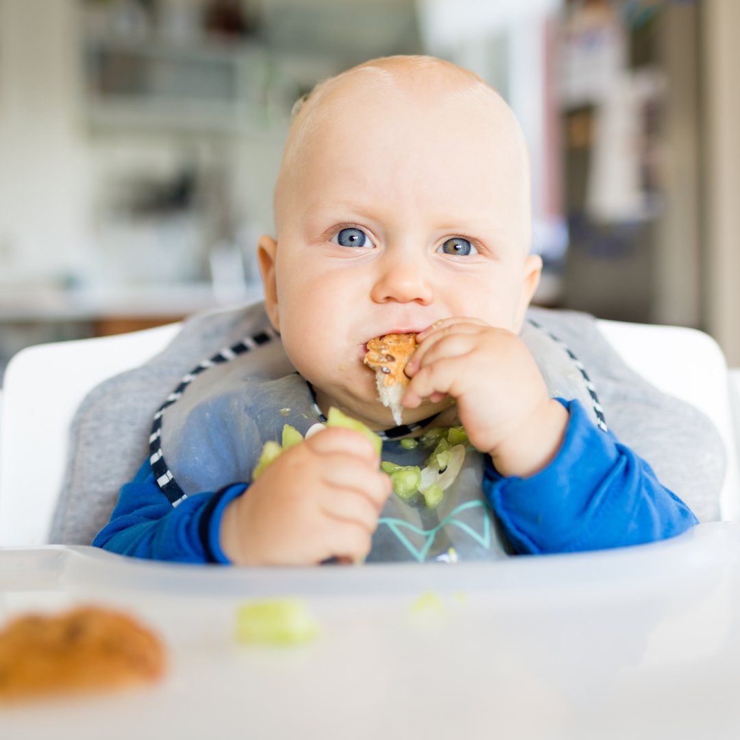 Happy pancake day! What topping will you be having?

They're also perfect for weaning babies as they are soft to eat and really easy for babies to pick up with their hands. 

Take a look at our blog for some baby led weaning pancake recipes.
