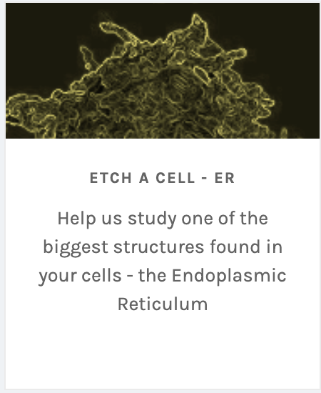 Etch a cell tweet media