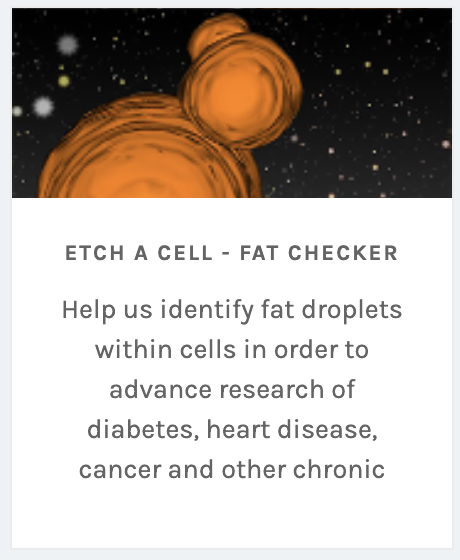 Etch a cell tweet media