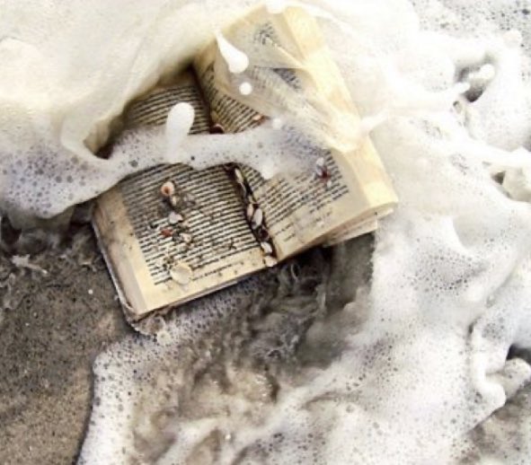 WarmOnSand's tweet image. ⊰ ☼ 𝓣𝓱𝓮 𝓛𝓲𝓽𝓽𝓵𝓮 𝓜𝓮𝓻𝓶𝓪𝓲𝓭 ☼ ⊱ 

𝔹𝕦𝕥 𝕕𝕒𝕕𝕕𝕪, 𝕀 𝓵𝓸𝓿𝓮 𝕙𝕚𝕞!

 Disney | Indie | semi-selective  | 6+ yrs ex. | Lit. Desc. | Retweet?| Threads Below