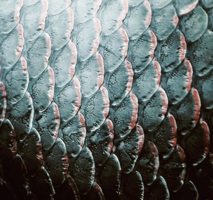 WarmOnSand's tweet image. ⊰𝓣𝓱𝓮 𝓛𝓲𝓽𝓽𝓵𝓮 𝓜𝓮𝓻𝓶𝓪𝓲𝓭⊱

𝔹𝕦𝕥 𝕕𝕒𝕕𝕕𝕪, 𝕀 𝓵𝓸𝓿𝓮 𝕙𝕚𝕞!

 Disney | Indie | semi-selective  | 6+ yrs ex. | Lit. Desc. | Retweet?| Threads Below