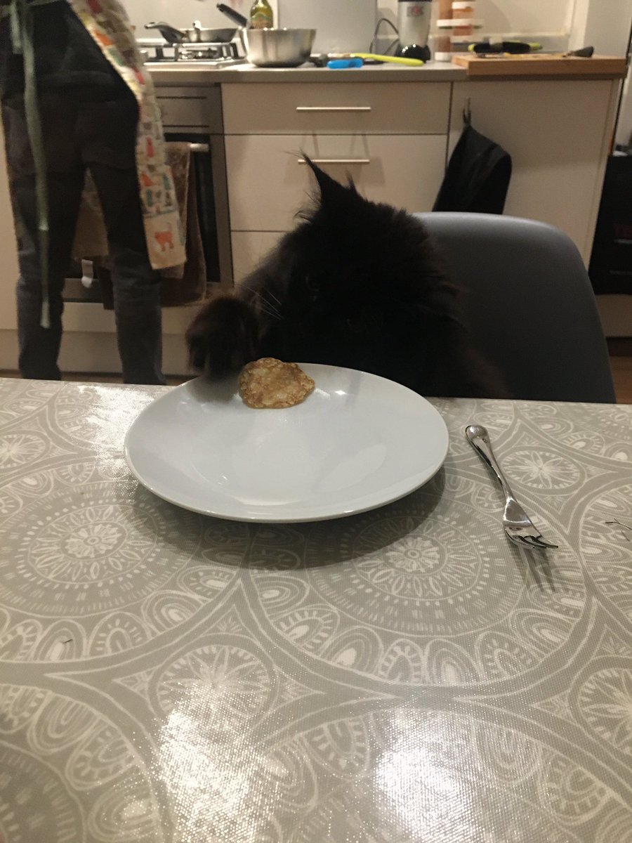 happy pancake day pls allow me to share the only good moment of 2020 with you all