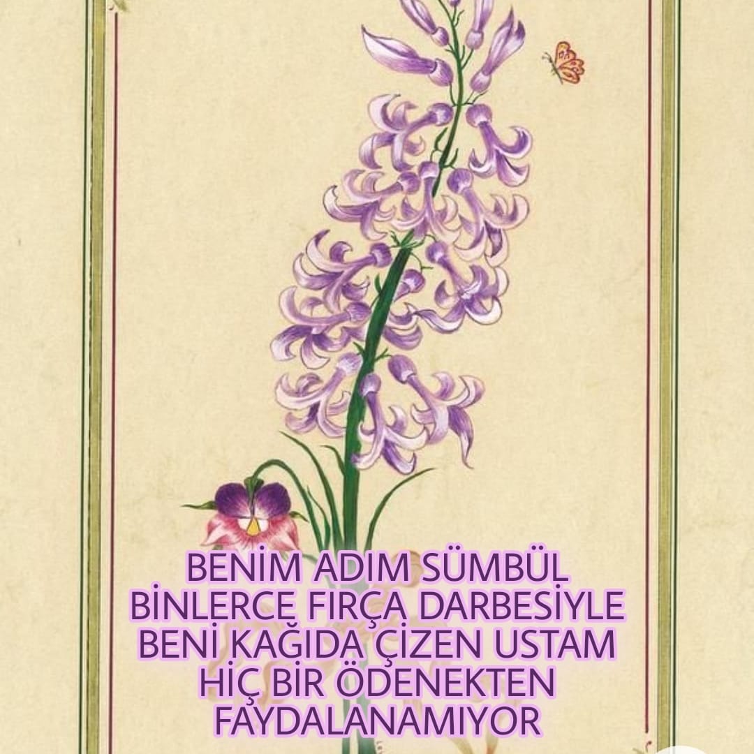 FerizeDayakl's tweet photo. MevzuatSizin KadroBizim
Yorulduk sevinmek bizim de hakkımız lütfen artık bizleri görmezden gelmeyin. 
@RTErdogan @kilicdarogluk @meral_aksener @ziyaselcuk @lutfielvan @emrullahisler @_aliyalcin_ @kamilaydinmhp @tcbestepe  @mebhbogm @HMBakanligi @safran1958 @tcmeb @FOXhaber.3hdgh https://t.co/Pp033FRdSz