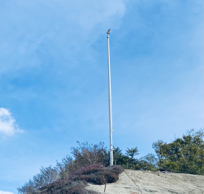 Nice Ricky #30’CamCleat how about the #Eagle #Ornament flying up top. @Riverside,CA https://t.co/t3GJ8H1HQS