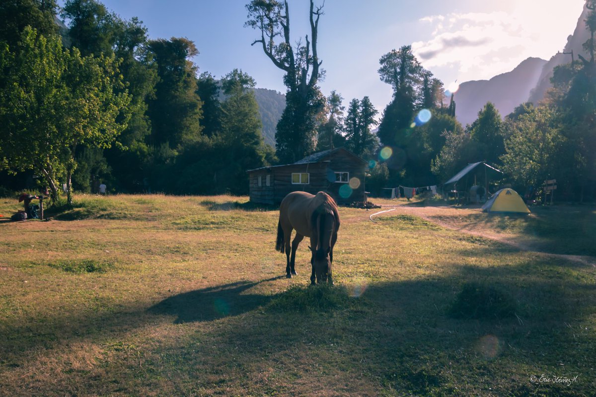 erib1977's tweet photo. Valle de Cochamó.
Región de los Lagos 🇨🇱.
.
8 de febrero 2021.
.
#chile #trekking #hiking #outdoors #paisaje #landscape #fotografia #nature #hike #naturephotography #photo #adictoachile #MarcaChile #visitchile #goforchile #adictoachile #cochamó #canon #tamromchile https://t.co/bdSQ5hjmqV