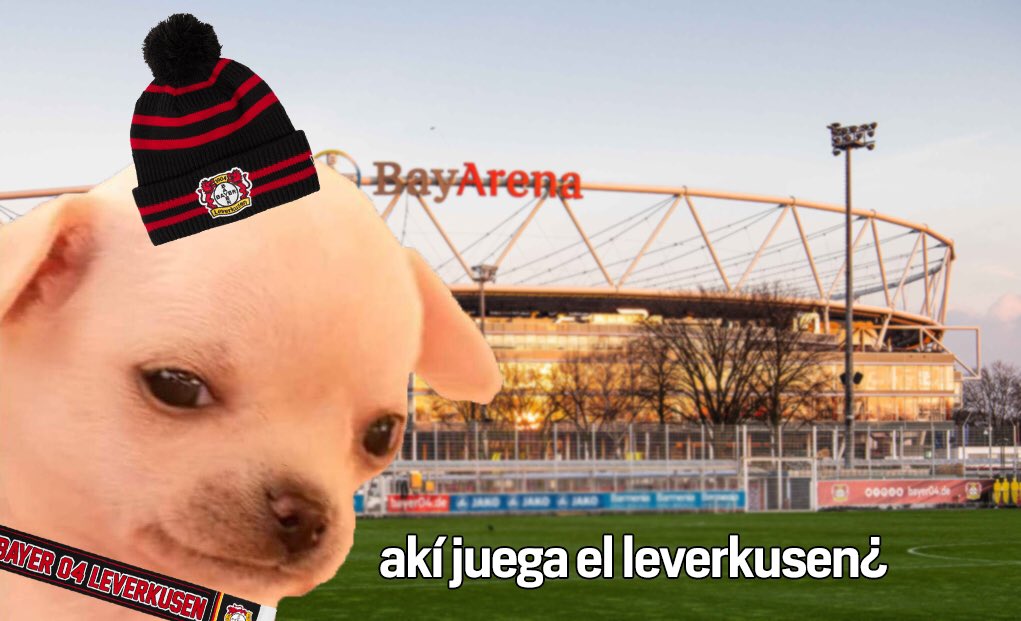 bayer04_es's tweet photo. Acompáñenme a ver esta  ̷t̷r̷i̷s̷t̷e̷ feliz historia. https://t.co/ObKn1eNkcx