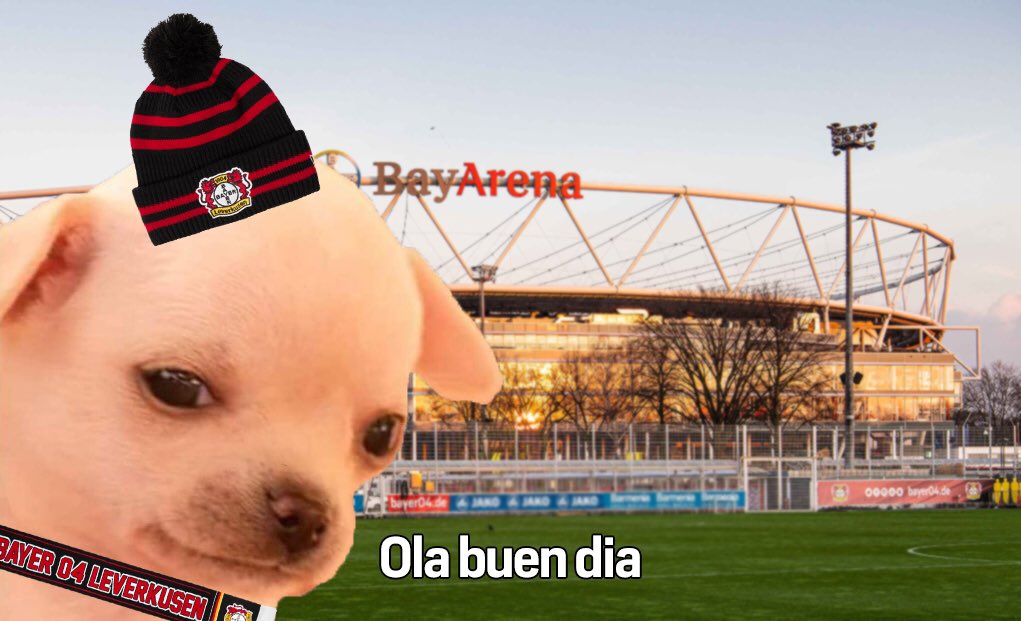 bayer04_es's tweet photo. Acompáñenme a ver esta  ̷t̷r̷i̷s̷t̷e̷ feliz historia. https://t.co/ObKn1eNkcx