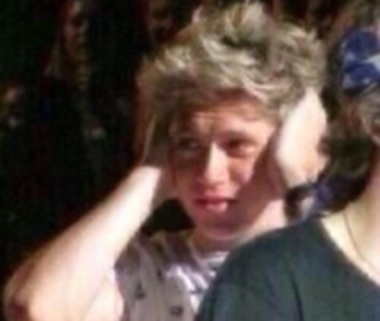 lu VA A VER A LOUIS tweet media