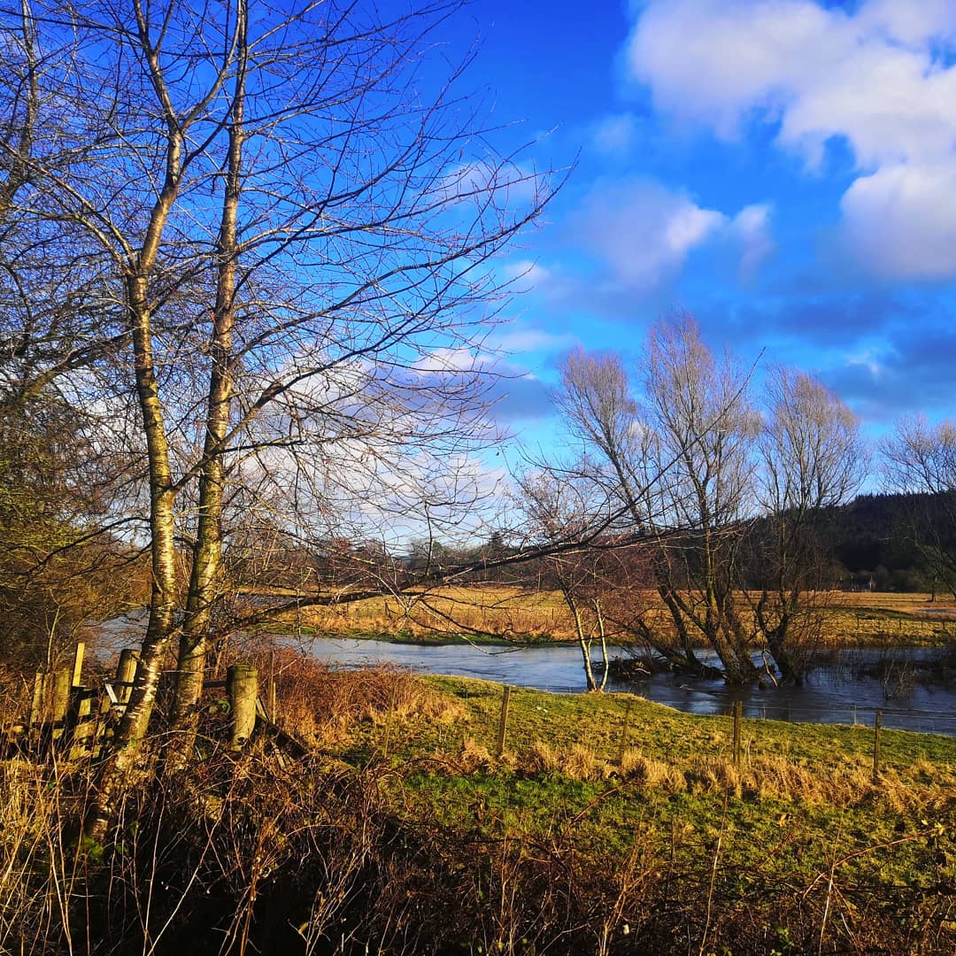 Char_wilso's tweet photo. Enjoyed a stunning long #walk along the #RiverDevon today and was rewarded at the end with the most breathtaking double #rainbow. ๐๐
#280000stepsinfeb for @supportCHAS
#Clackmannanshire #clacks #RiverDevontrail #walking https://t.co/6KF4fpIRkq