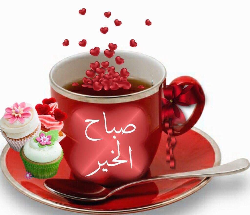 #الحب_لقاء_او_بقاء ماحد يحبني بس بشارك 😂