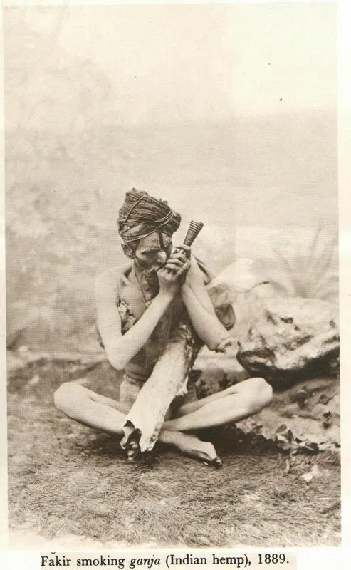 cannaworldsite's tweet photo. “Fakir Smoking Ganja (Indian Hemp)”, India, 1889 https://t.co/oHzlc7E89f