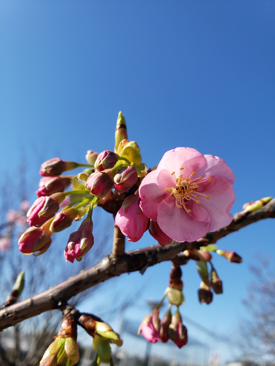 りもみ 月曜断食2年目 来てきて ここは23区 外れも外れ だけど意外な穴場なんですのよ ちょっと前だけど 玉木くんが おしゃれイズムかなんかで お気にの場所として言ってくれたこともありまーす