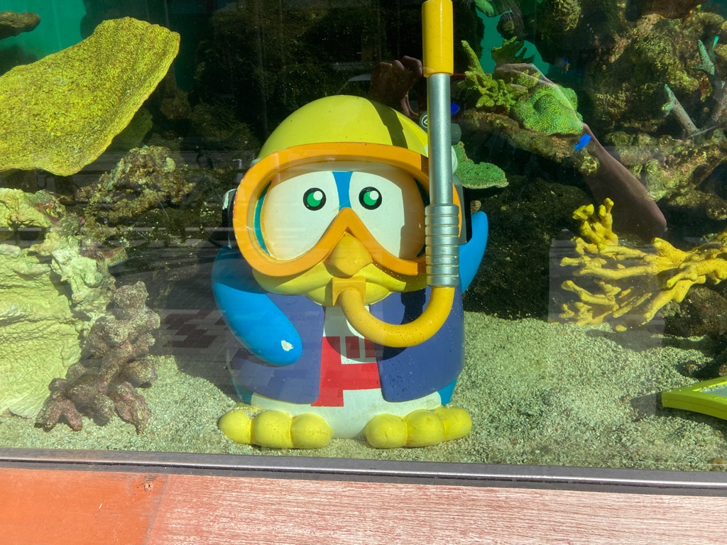 驚安の殿堂 ドン キホーテ 第8回 突然ですが中目黒のドンキホーテの水槽はどうやって清掃しているか分かりますか 正解はお兄さんお姉さん達が潜水しながら清掃しています 外からだと清掃出来ない場所も潜ったらすぐ綺麗になります 見れた