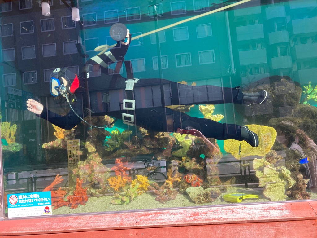 驚安の殿堂 ドン キホーテ 第8回 突然ですが中目黒のドンキホーテの水槽はどうやって清掃しているか分かりますか 正解はお兄さんお姉さん達が潜水しながら清掃しています 外からだと清掃出来ない場所も潜ったらすぐ綺麗になります 見れた