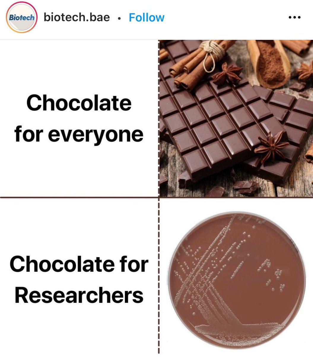 Biology1802's tweet photo. #انا_احيائي حتى الشوكلاته 🍫 حقتنا غير 😅😍 https://t.co/pwX7dH1FGO