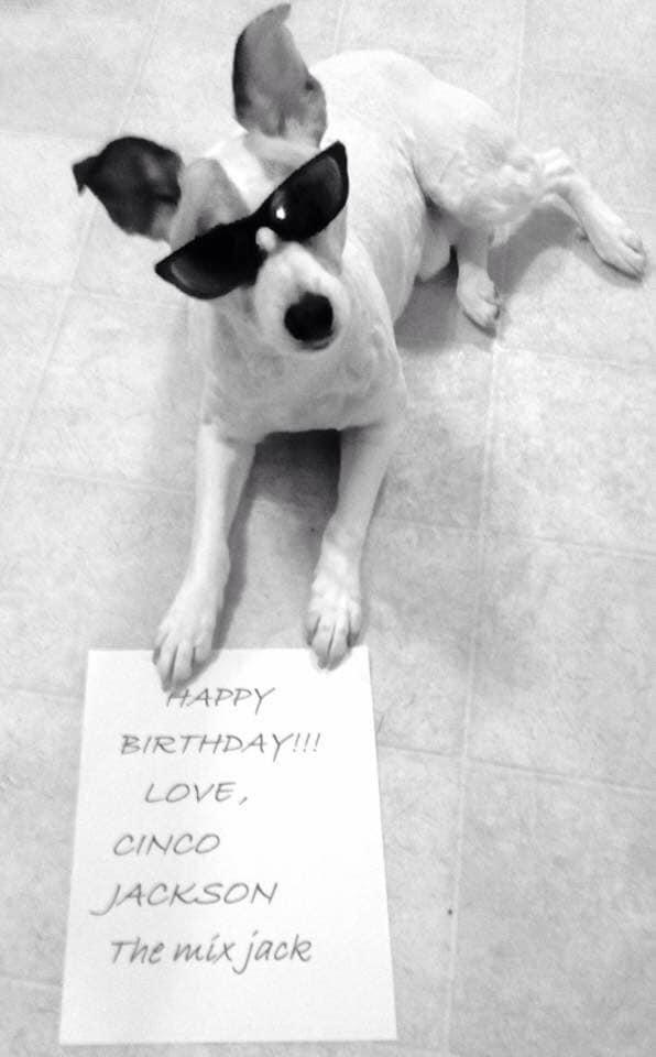    Happy birthday Ice T  Cinco Pimpdaddy Jackson . Enjoy your day      