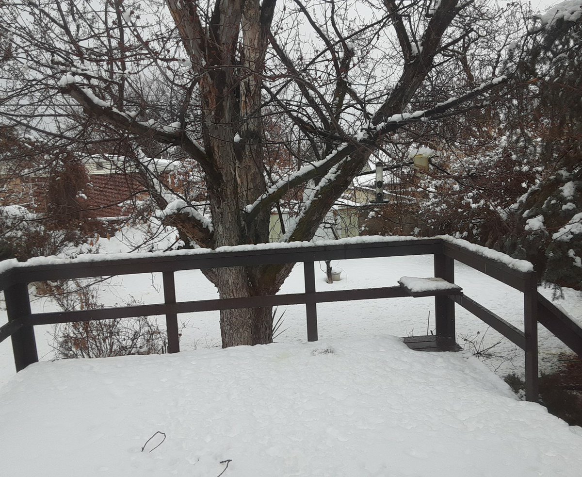 Neilfan12's tweet image. ❄ Evil evil evil evil...
#SnowIsEvil 😜

(doing it here today too...)