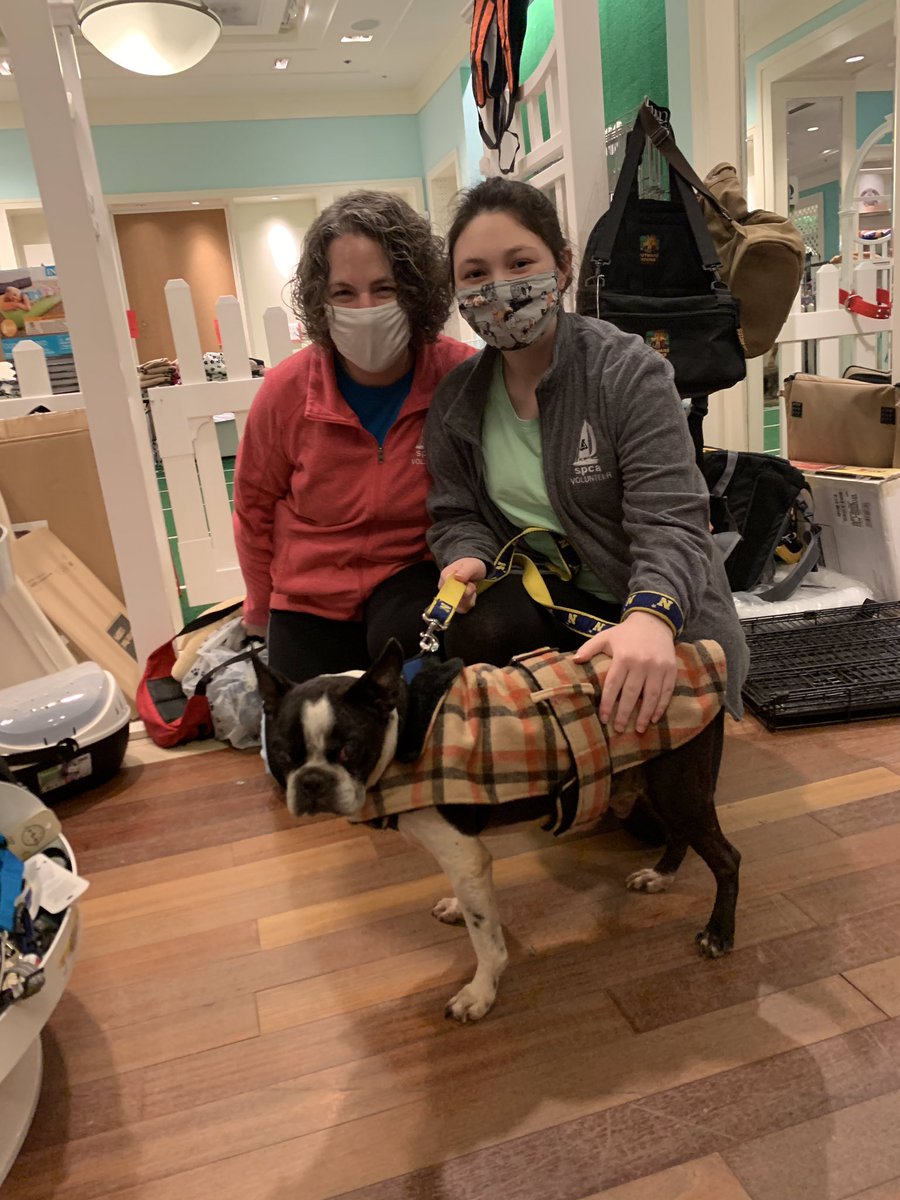aacspca photo