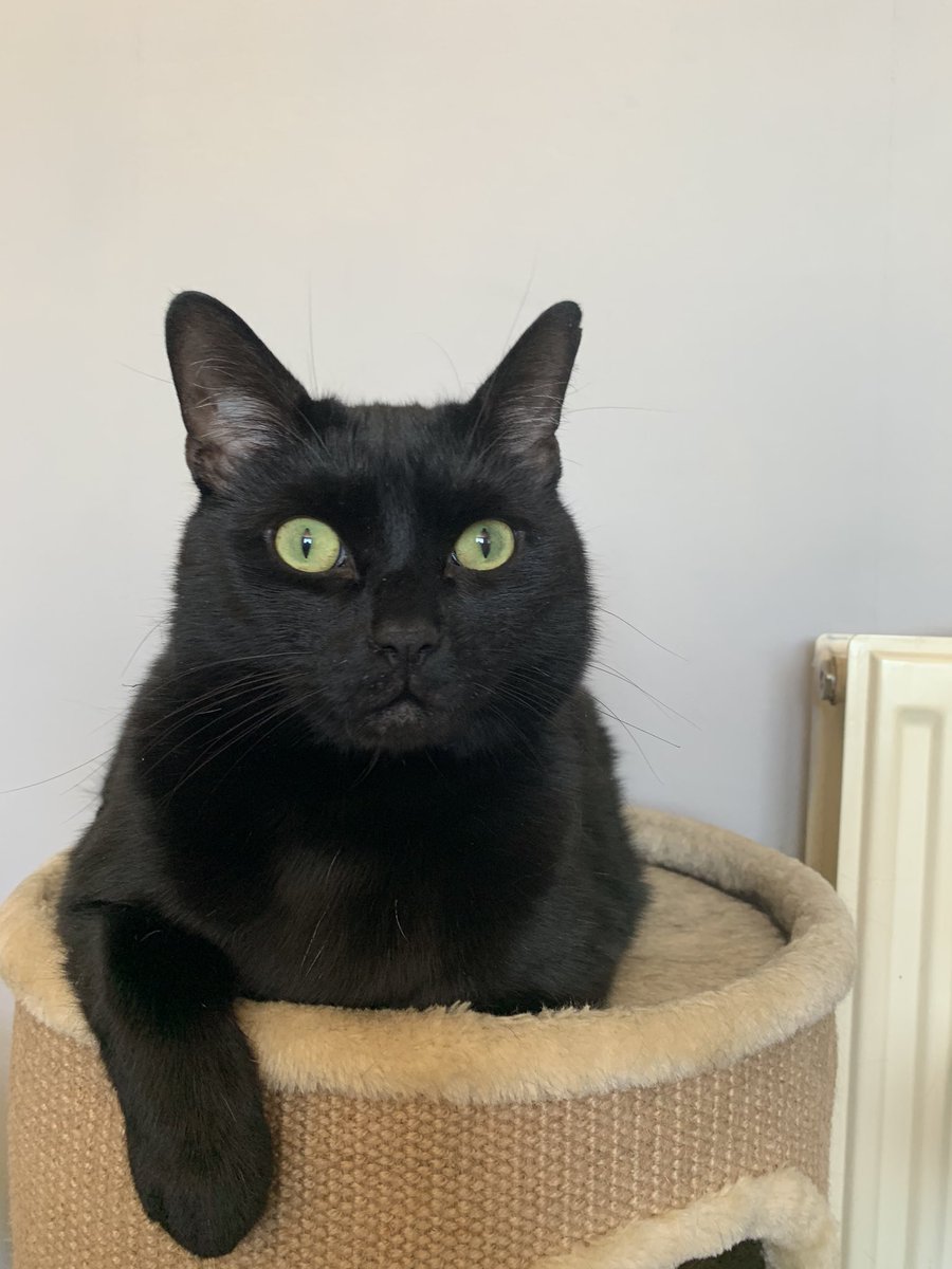 Frank & Holly Can Boogie tweet media