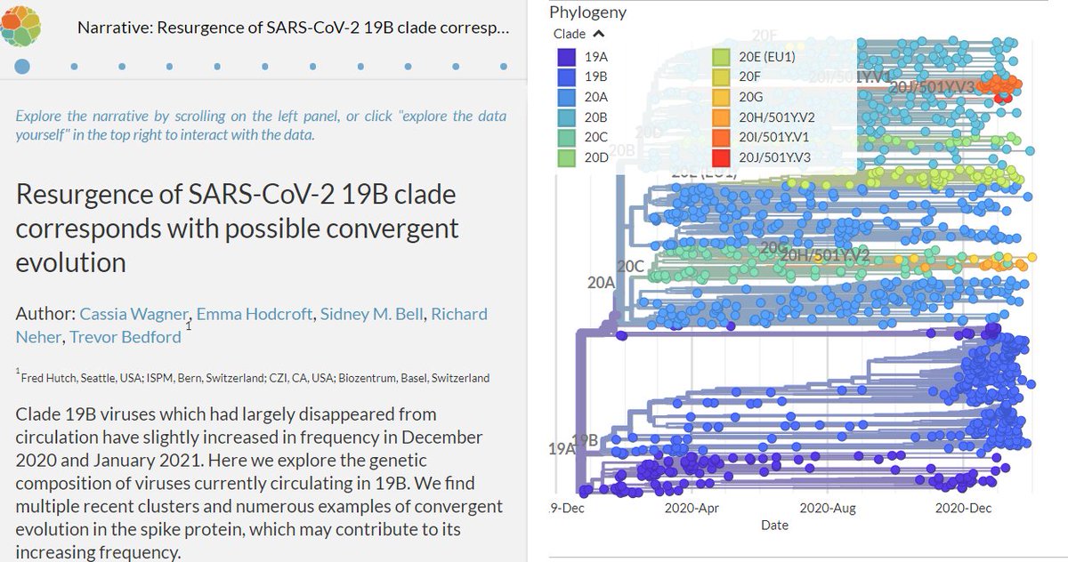 Nextstrain tweet media