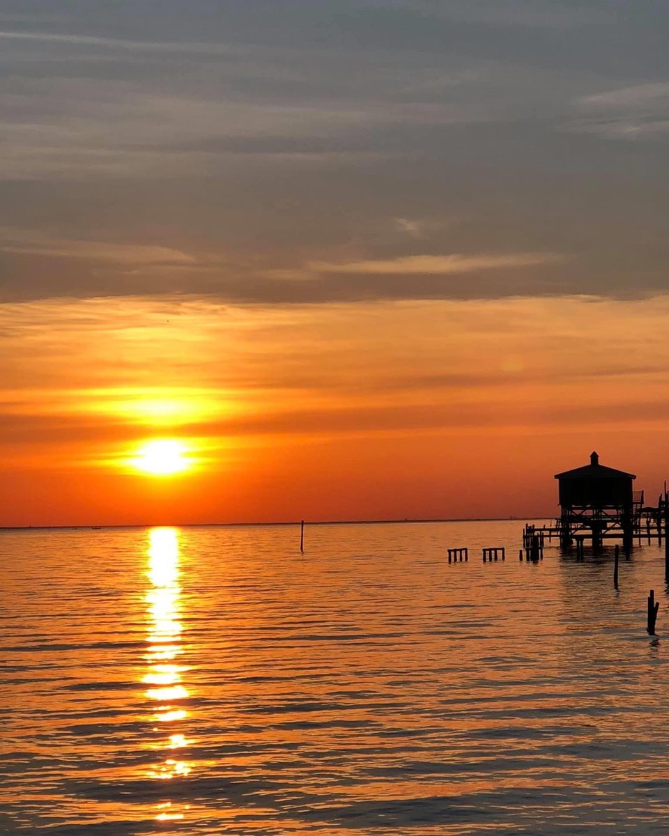 SMARTBuffetWare's tweet photo. Sunset Series from SBW – "You have brains in your head. You have feet in your shoes. You can steer yourself any direction you choose." -Dr. Seuss
#smartbuffetware #sunset #alabama #gulfcoast https://t.co/SWIki9HhLt