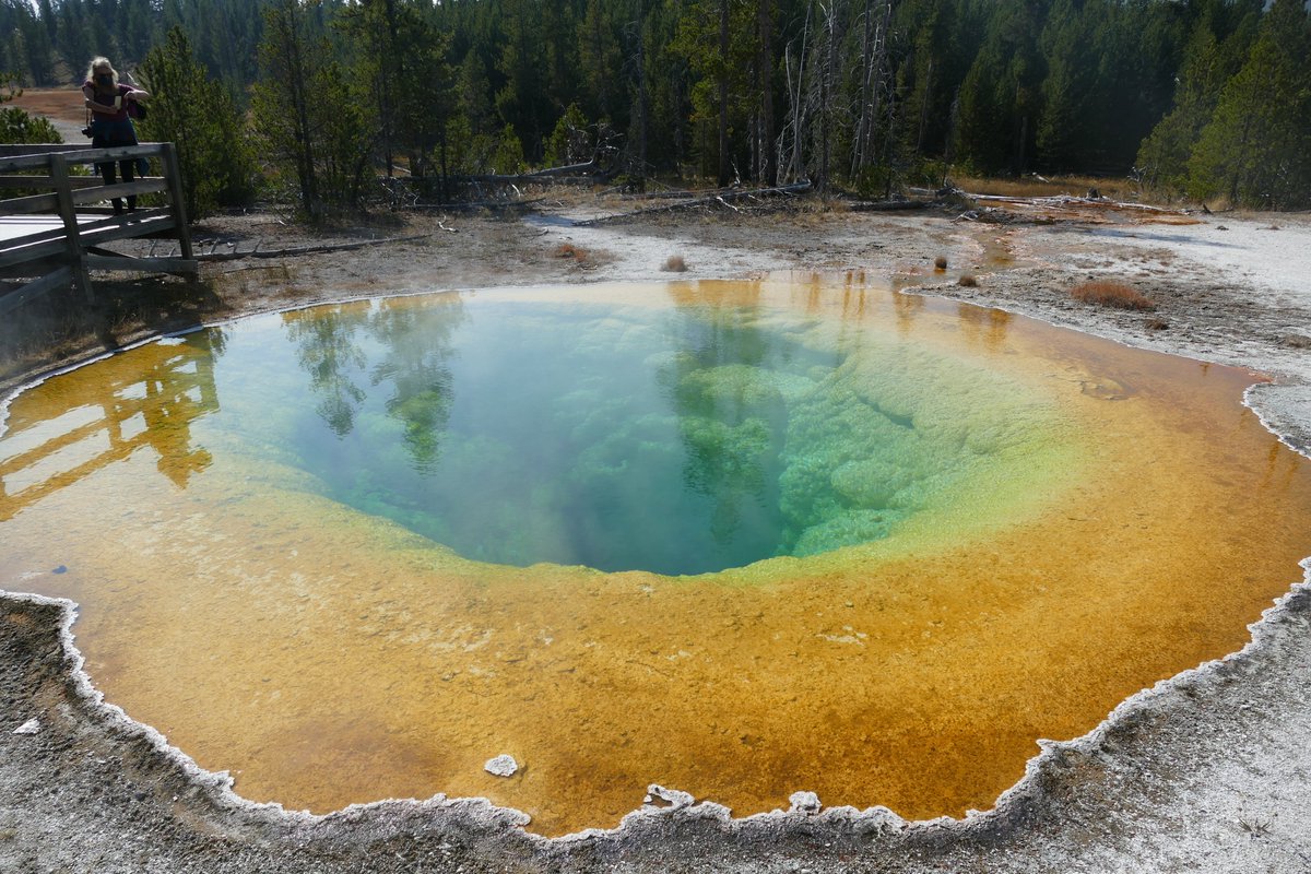 MainlyMisfits's tweet photo. Happy Friday! Morning Glory Pool is one of Yellowstone's most colorful hot springs. #yellowstonenationalpark https://t.co/2nxeYB9Ooj
