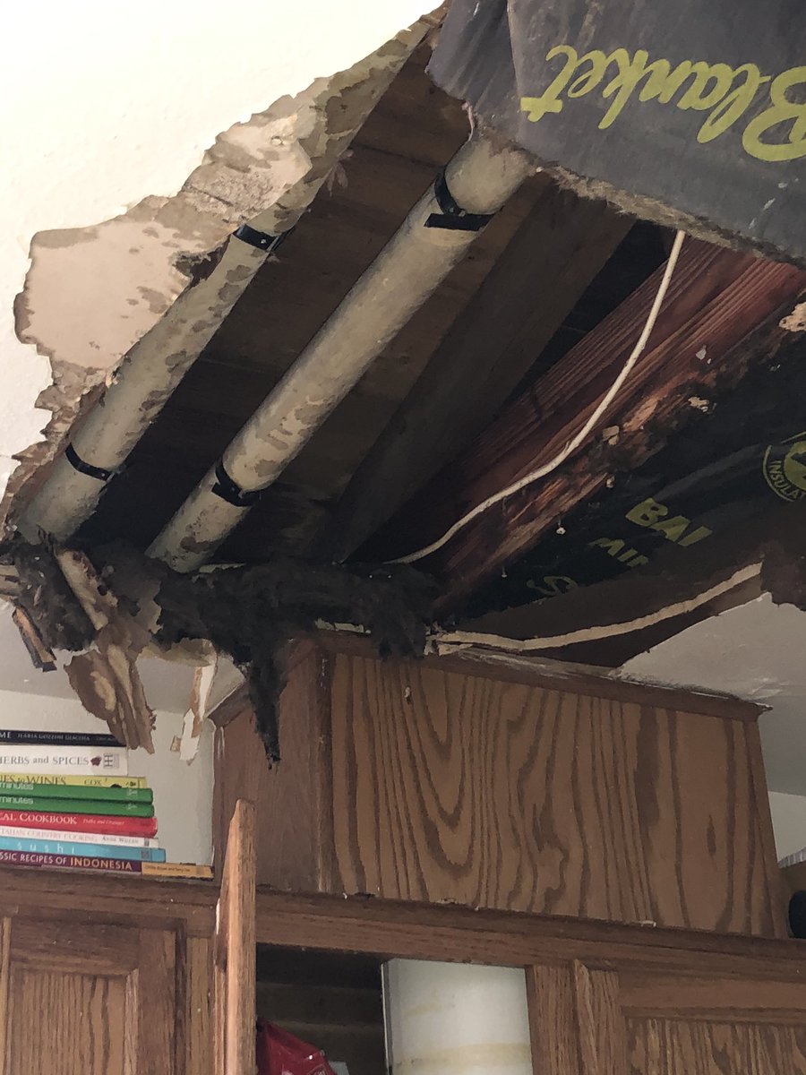 court_hami's tweet image. Fort Hood Family Housing just doing what it does. Left this family here after their ceiling caved in. Probably contains asbestos given the age of the home and is 18 outside. But they deserve to keep their contract. @iiicorps_cg please do something about this.