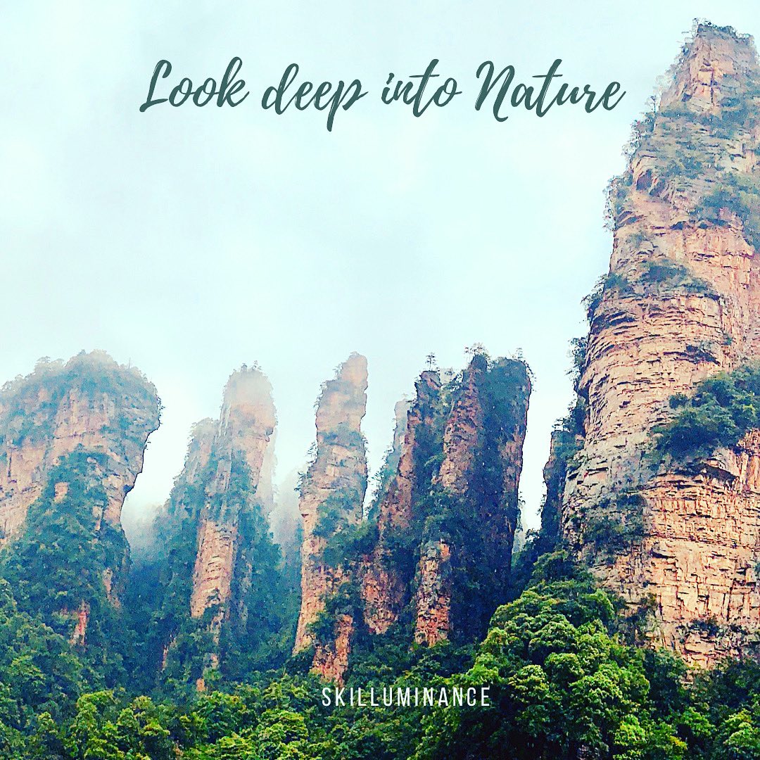 skilluminance's tweet image. Nature and it’s marvels heal the human soul - we just need to Slow down, look deep into nature, and enjoy the simple pleasures of life.