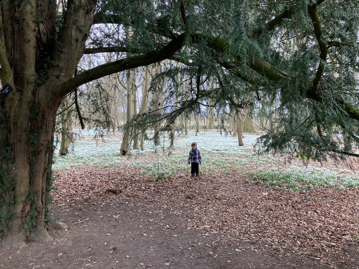 kit2kat's tweet photo. #50milesinFeb Miles 28-31 - even after a painful visit to the chiropodist! We discovered QR codes are like minecraft, snow drops, dams & weirs, a friendly robin, deer, a hercules funeral flyby & π to accompany our hot chocolate. #ForSian @childrensociety https://t.co/D61i5d6zR7 https://t.co/DCJIKYQCpO