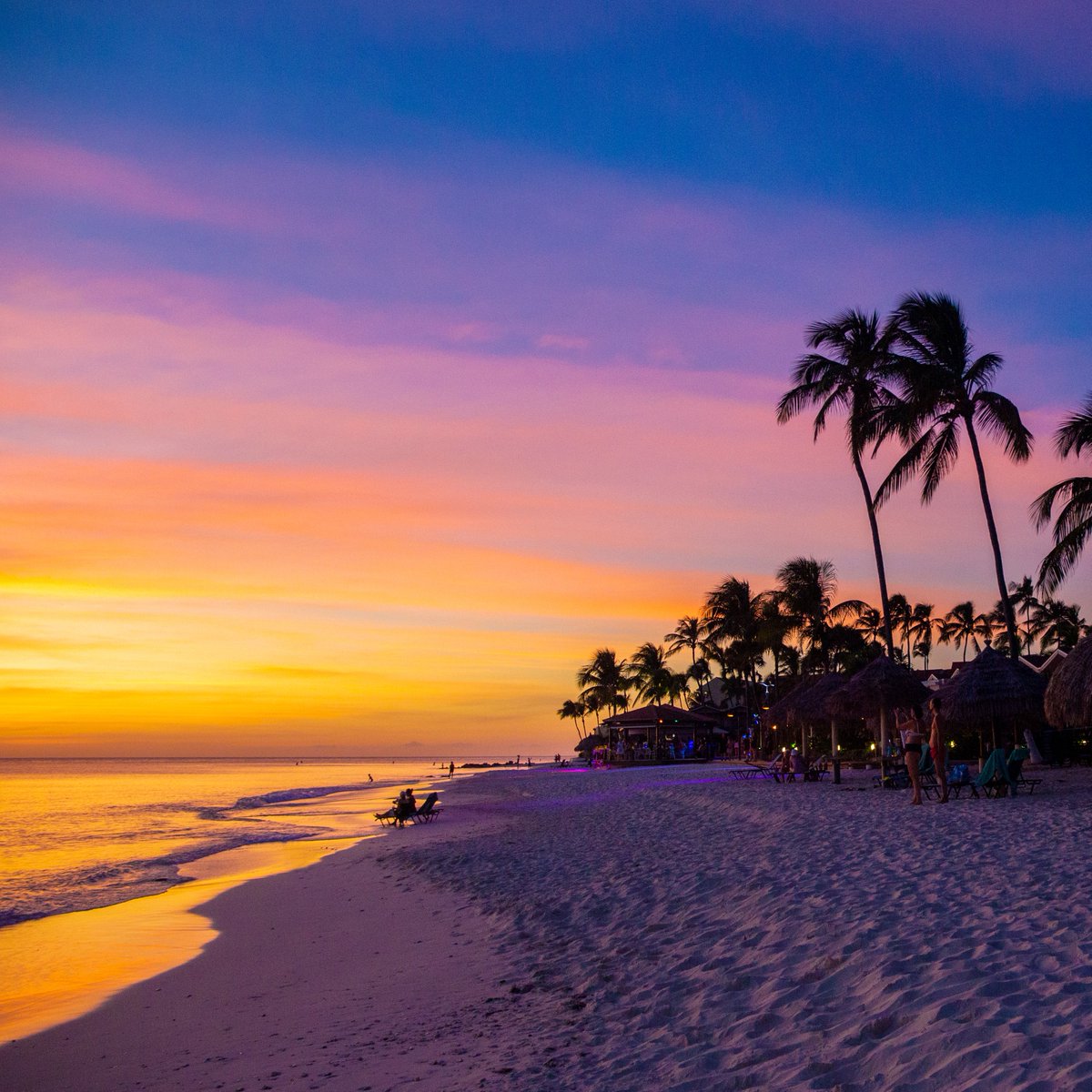 Divi & Tamarijn Aruba All Inclusives tweet media