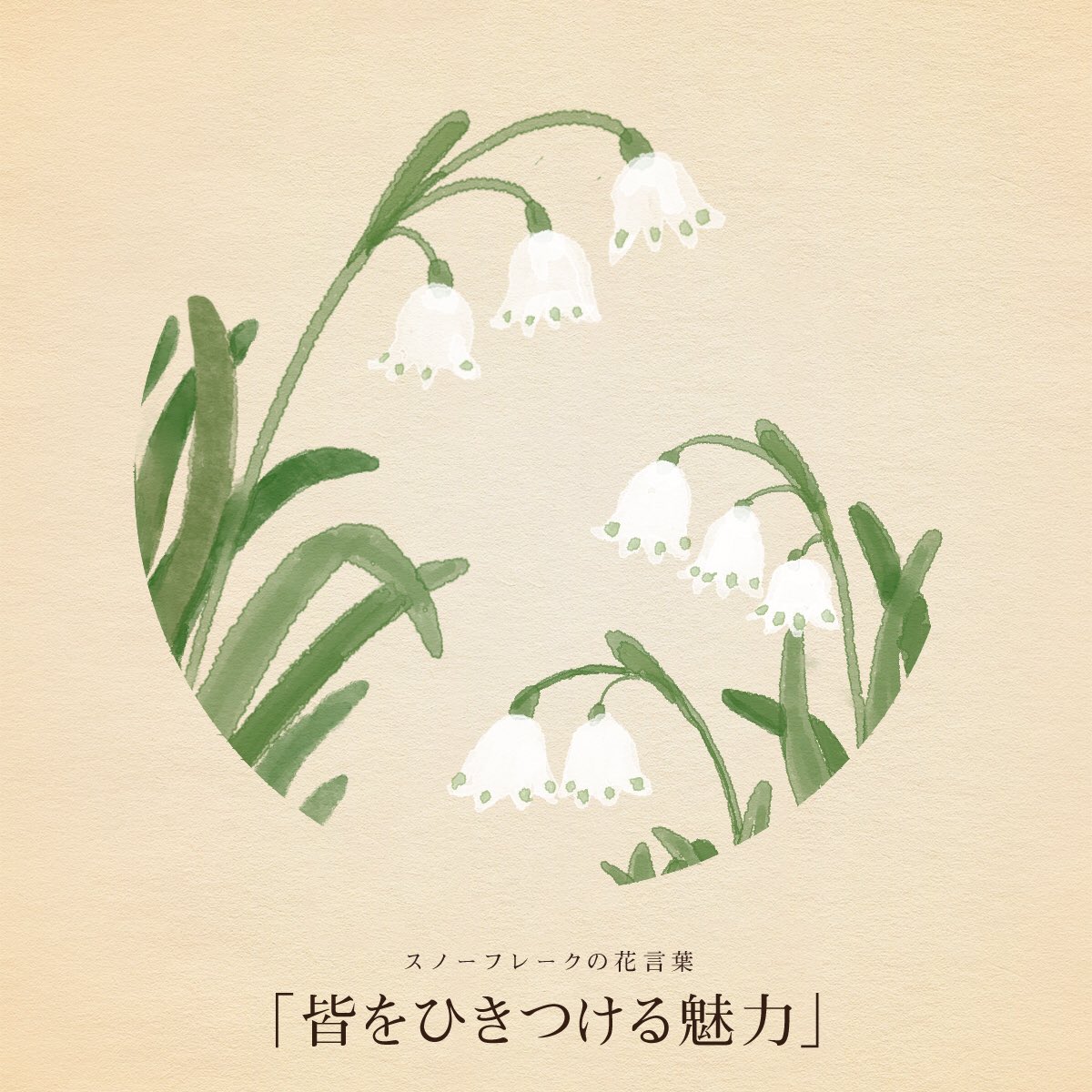 はな言葉 新刊出ました V Twitter きょう2月17日は 天使のささやきの日 ガチャの日 えんぶり 祈年祭 電子書籍の日 中部国際空港開港記念日 千切り大根の日 森鴎外の誕生日 白洲次郎の誕生日 誕生花はスノーフレーク 花言葉は 皆をひきつける魅力