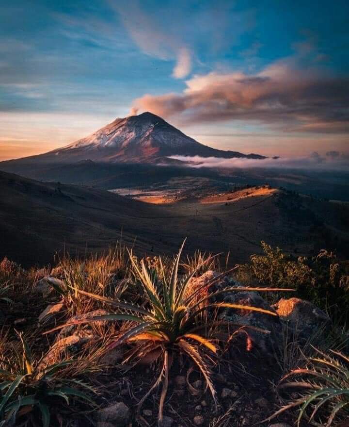 Sandy69636017's tweet photo. Buenas noches fue un gusto leerlos amigos.🌏 https://t.co/5PyEzkz2QB