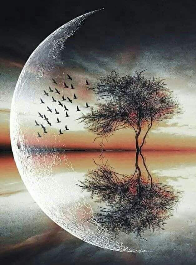 Sandy69636017's tweet photo. Buenas noches fue un gusto leerlos amigos.🌏 https://t.co/5PyEzkz2QB