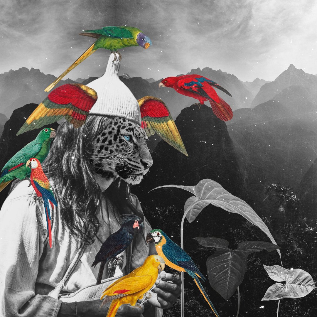 Name: Jalinka  Gressmann 
Medium: Collage

“This collage came intuitively, it’s just my love for the Amazon healers with their ancient wisdom and their deep connection with all the spirits.”

@jalinkaG 

#ArtistsForTheAmazon #ShowYourLoveForTheAmazon