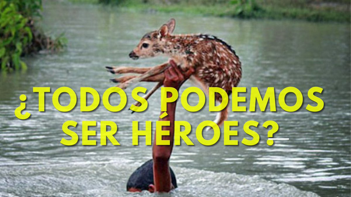 Ojo a este dato: 8 de cada 10 personas, tienen intención de ayudar a una causa social. 

Pero solo 1 tiene lo medios de pago y los recursos disponibles para hacerlo. 

¿Acaso hay que ser millonario para poder ayudar a otros? Sigue -->